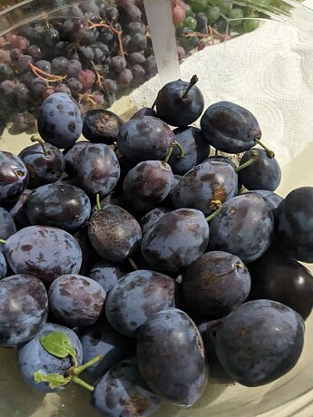 PXL_20240916_011915863