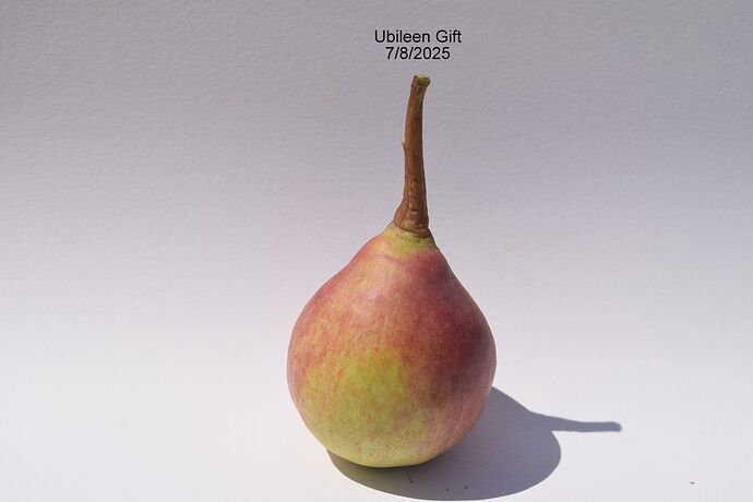 UbileenGift7-8-2025RS