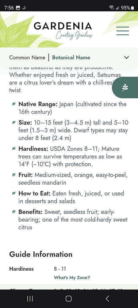 Screenshot_20260620_075637_Samsung Browser