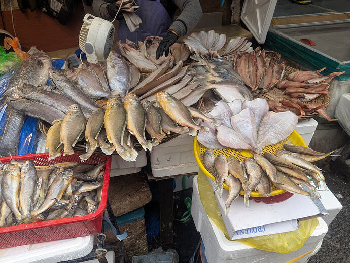 PXL_20260224_064815894