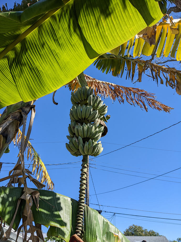 PXL_20260129_133237942