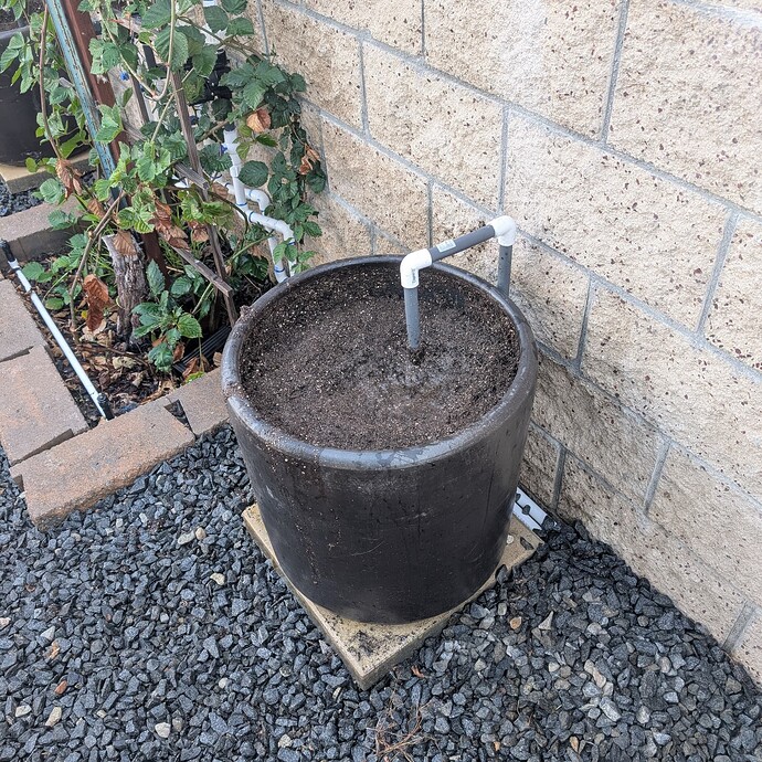 PXL_20250825_014035780