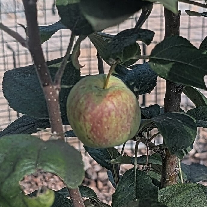 PXL_20251005_221532769~2