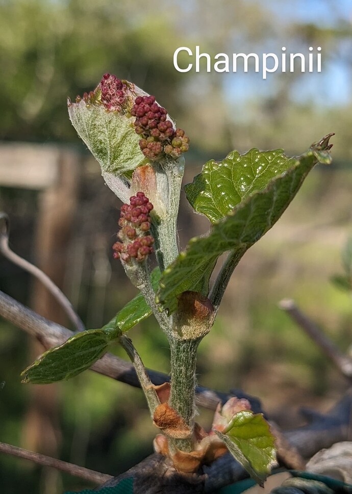 PXL_20250325_220659786~2