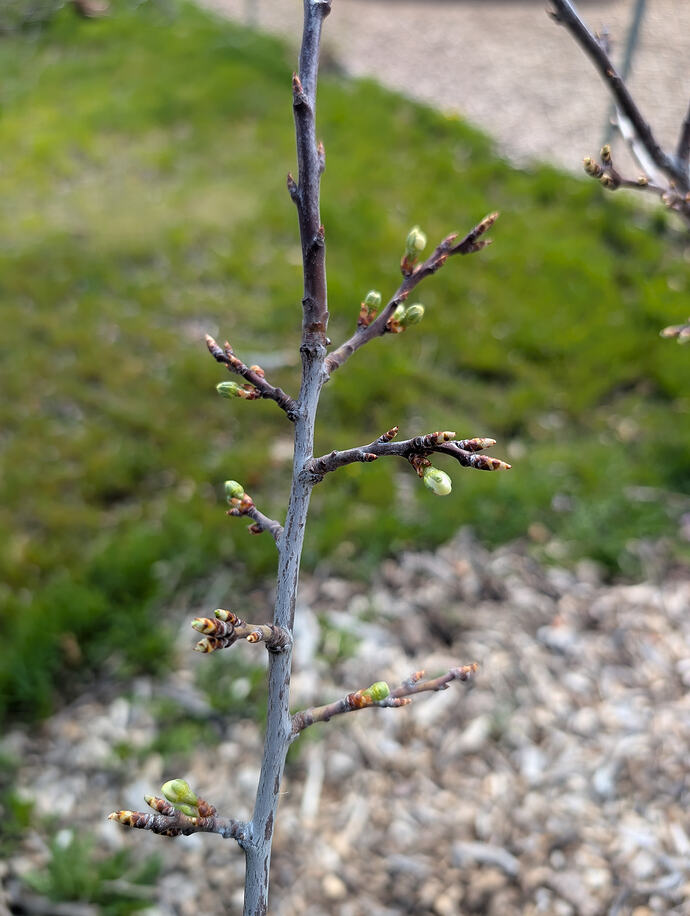 PXL_20260413_171715712