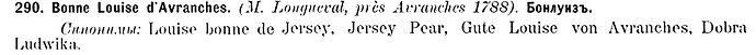 LouiseBonJersey