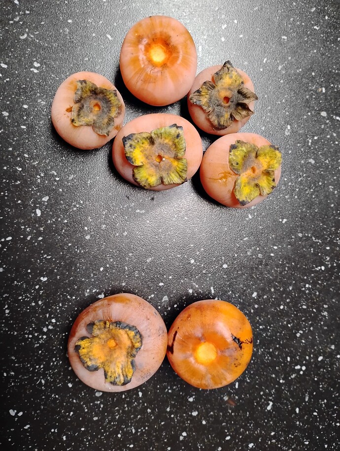 Persimmon