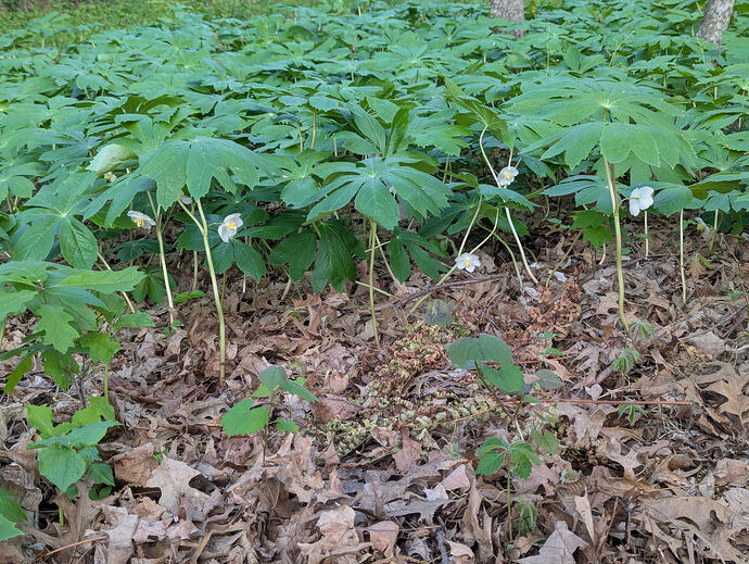 PXL_20260410_223815065