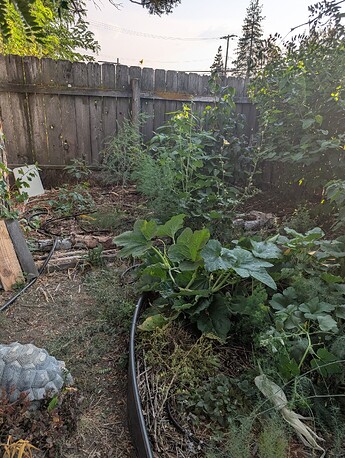 PXL_20250908_003808295