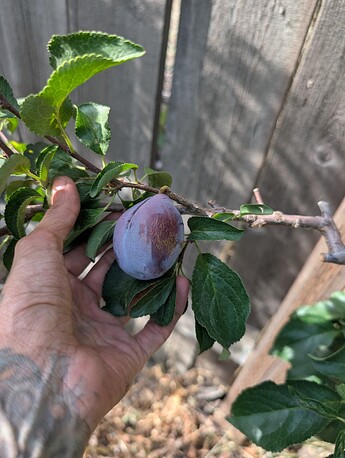 PXL_20250814_232935289