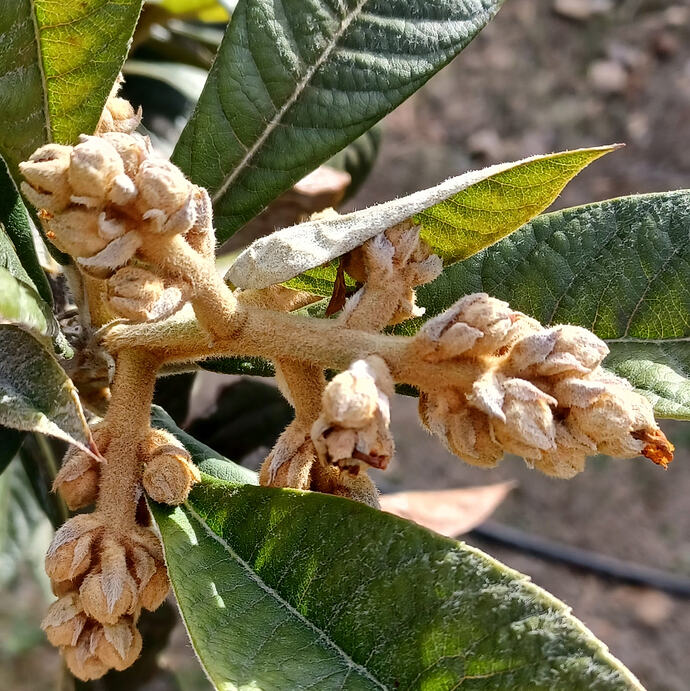 20260217_143147_Cropped