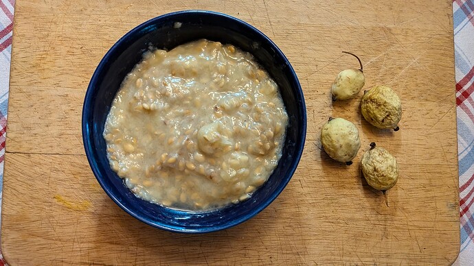 Pulp and Representative Fruits From Plant B