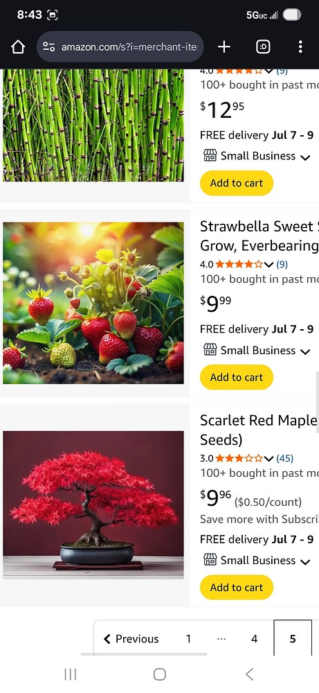 Screenshot_20250627_204302_Chrome