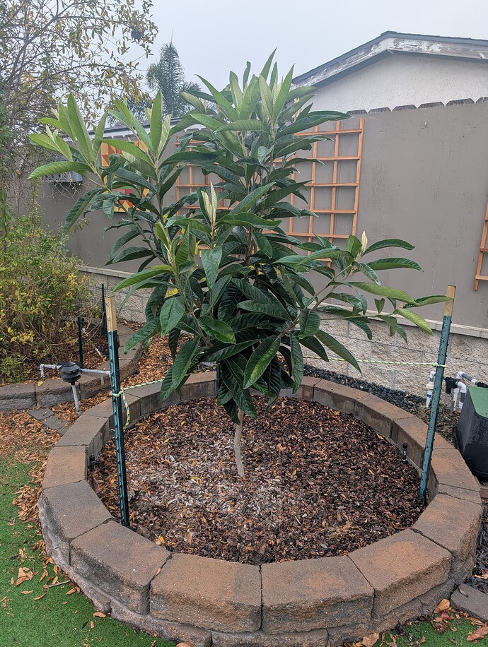 PXL_20251114_224331302