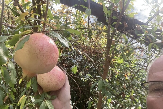 Photo on 10-2-25 at 12.53 PM #2