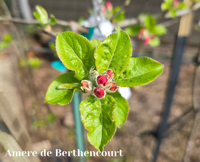 20260331_133216 (2026-03-31T21_00_39.904)