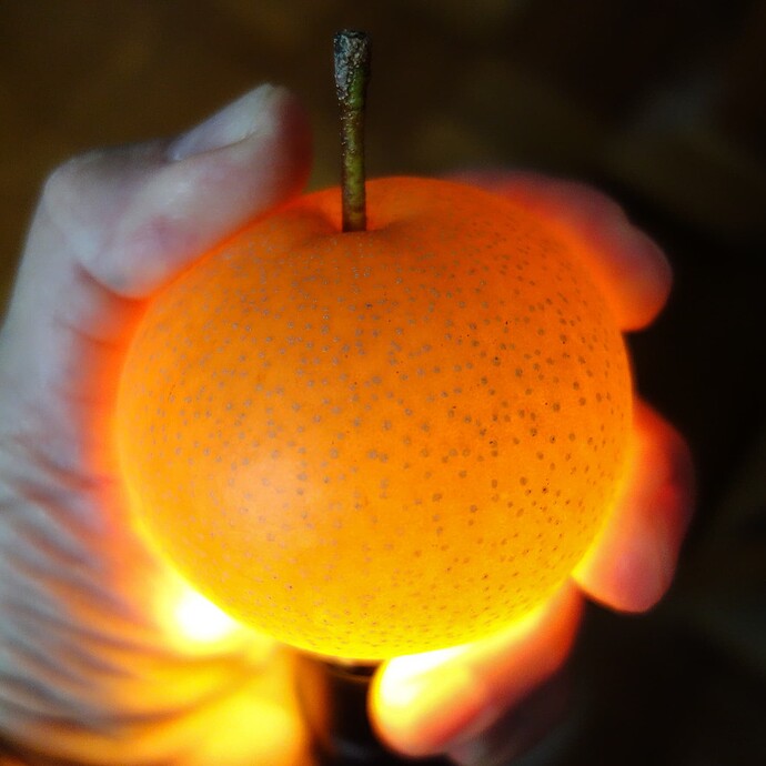 3 Asian pear ripe