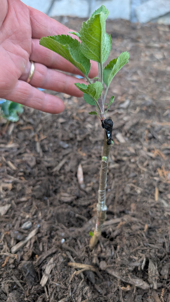 PXL_20260422_232241241