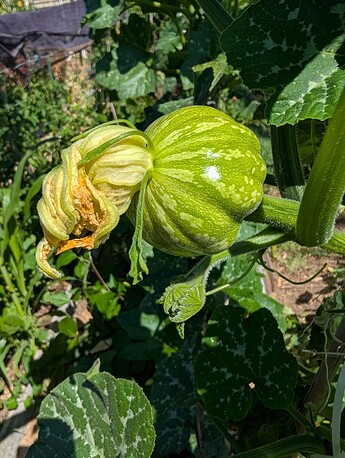 PXL_20250724_213128004