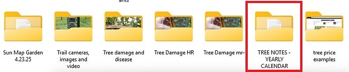 tree notes yearly calendar (1)