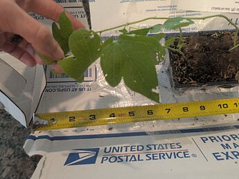 PXL_20250709_205417049