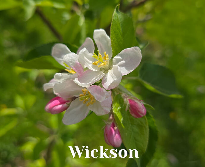 20260410_141353 (2026-04-11T13_55_38.944)