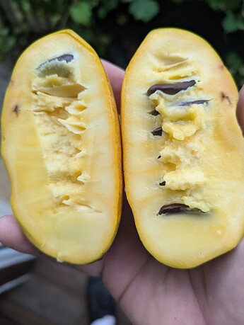 PXL_20250724_002030725