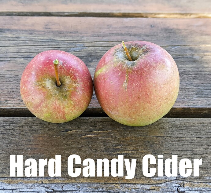 Hard Candy Cider_2025