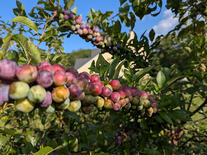 PXL_20250808_214801317