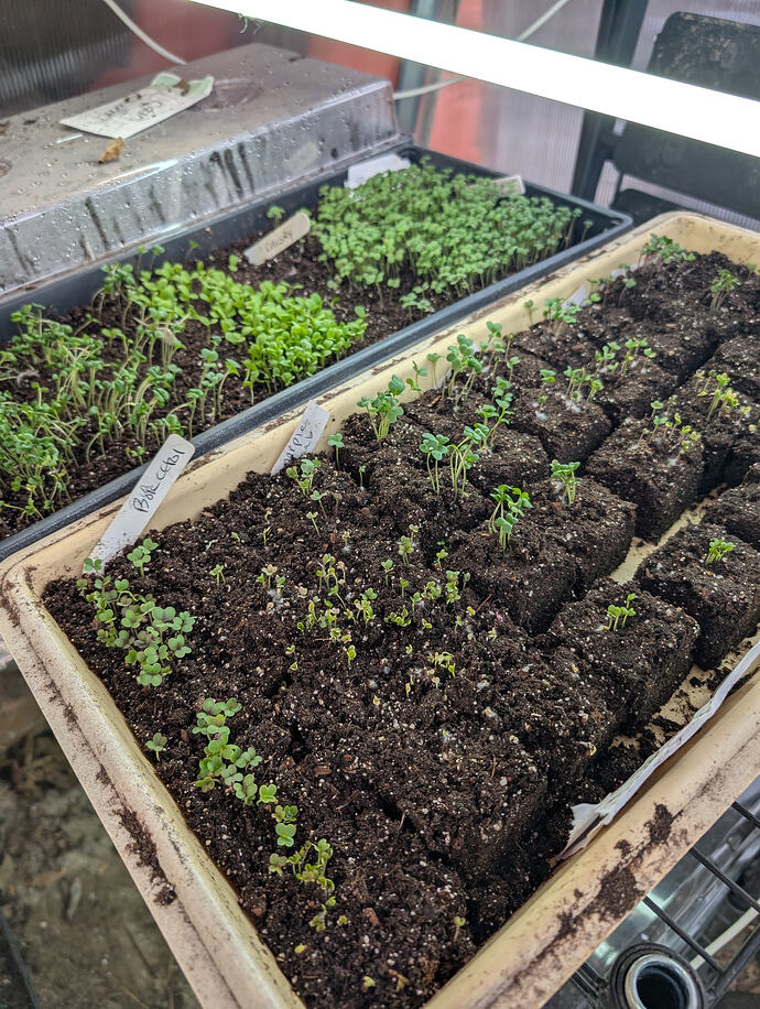 PXL_20260213_235400359