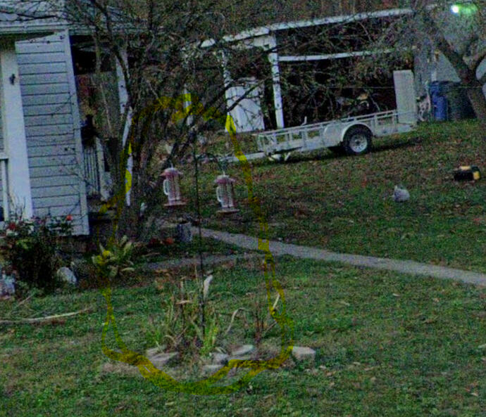 Screenshot 2026-05-12 091022