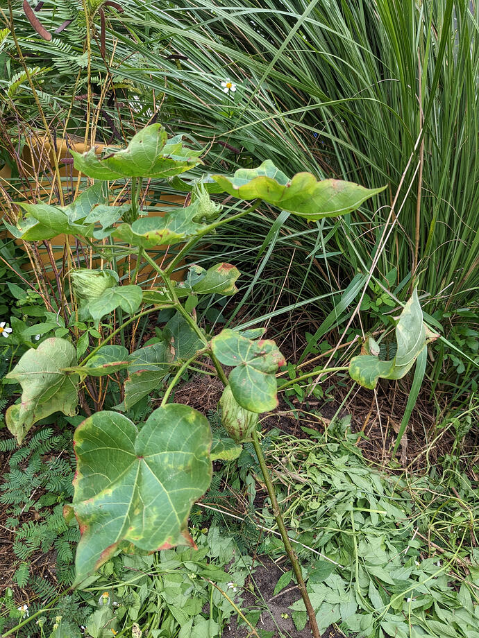 PXL_20260925_094347596