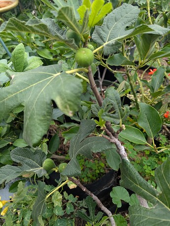 PXL_20250806_195858231