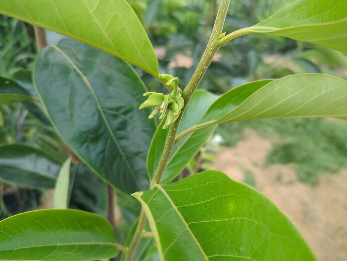 1754159661196676214034175096309