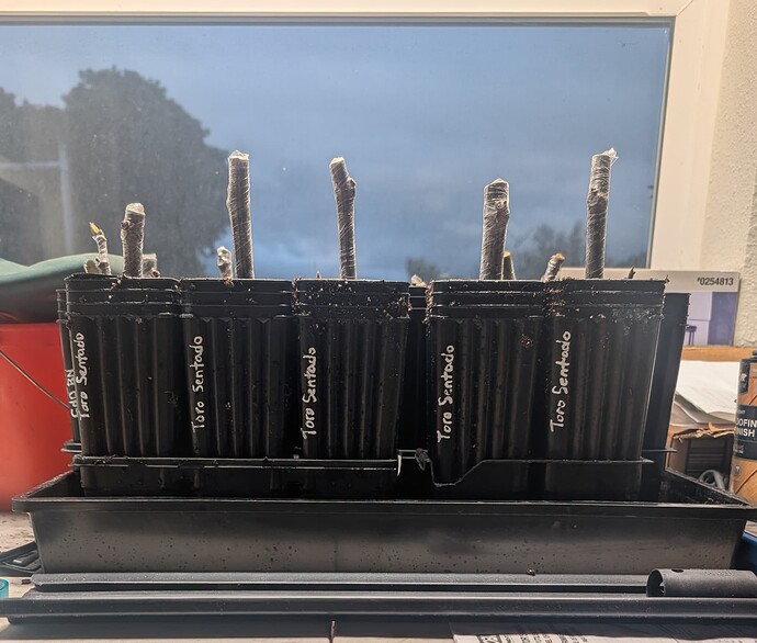 PXL_20260103_004712273