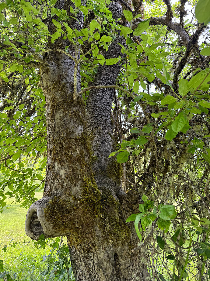 IMG_5563