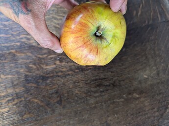 PXL_20250825_203602857