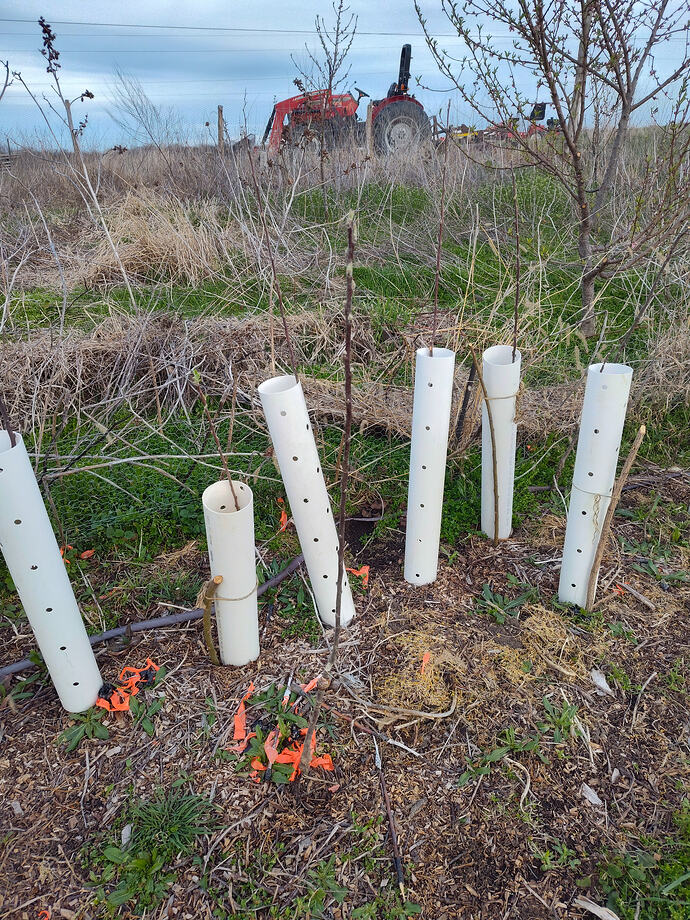 IMG_20260324_185507911_HDR