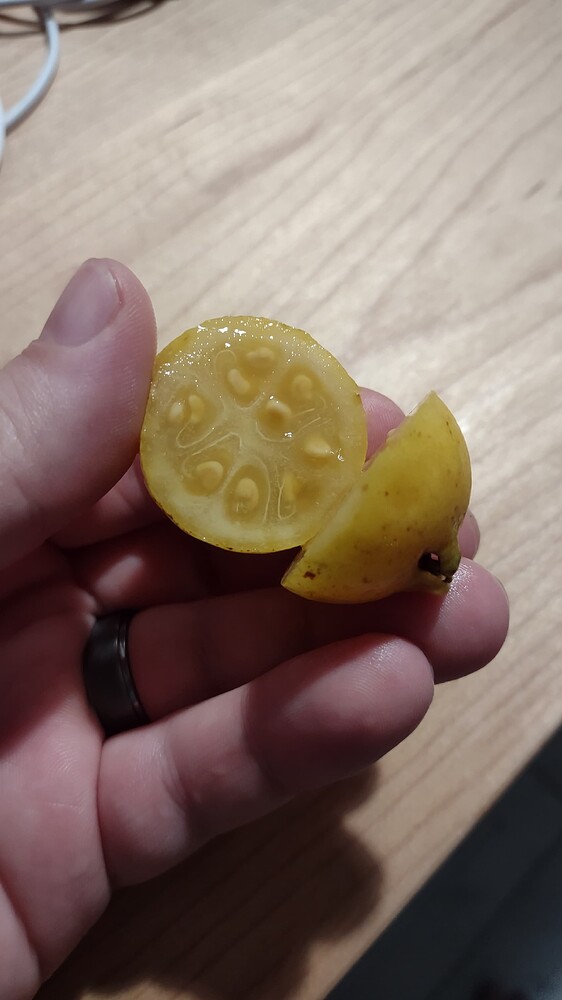 IMG_20250819_201127038