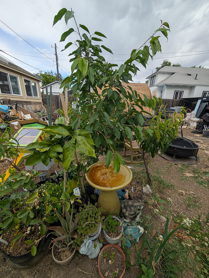 PXL_20260612_215201611