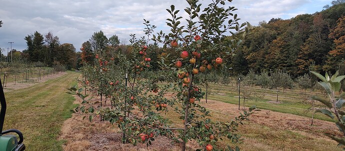 IMG_20250913_174704592