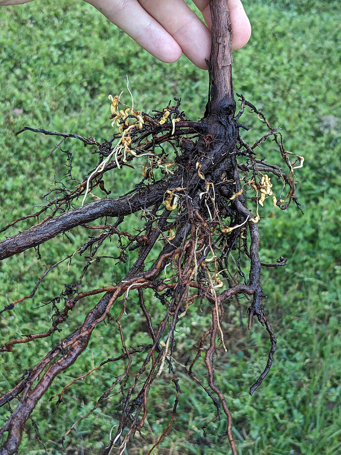 PXL_20240406_000906699