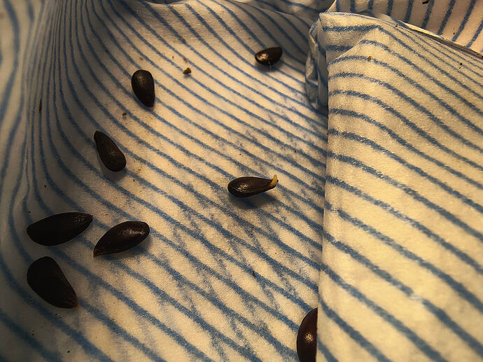 IMG_20260307_112824952_HDR