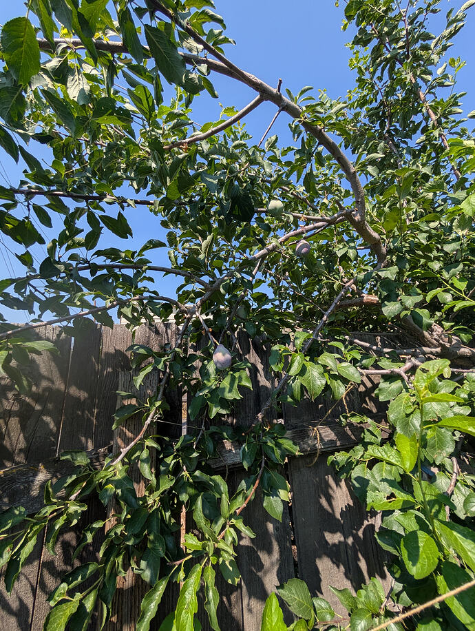 PXL_20260726_215354672