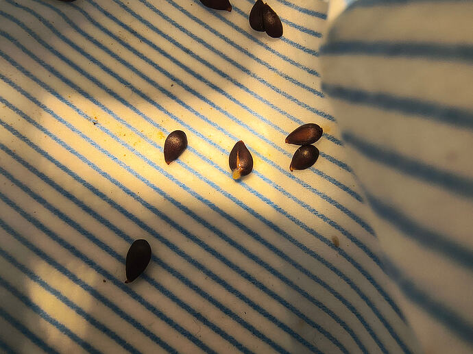 IMG_20260307_112723151_HDR