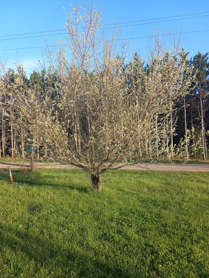 image-1778976762777 (1)