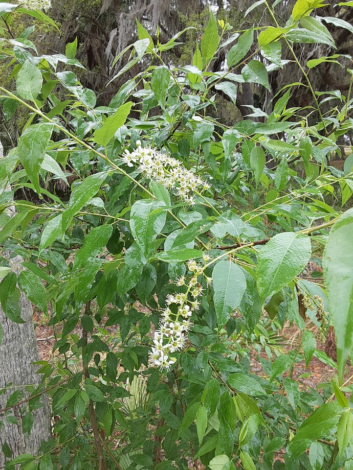 Resized_20260312_130356
