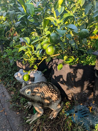 PXL_20250908_003728853