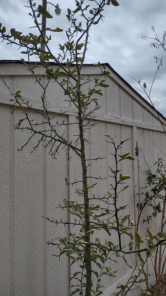 IMG_20260211_133755095_HDR