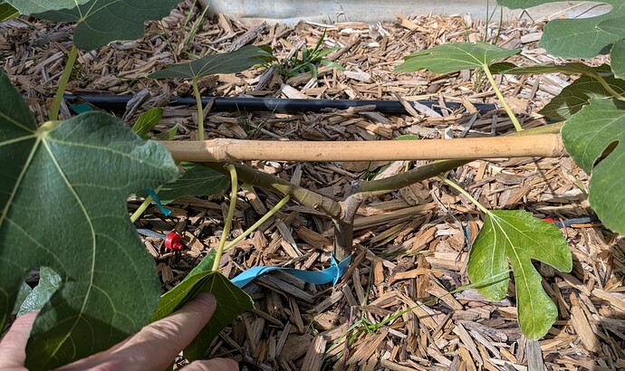 Screenshot_20250717_195612